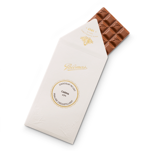 Lindt Tablette Maître Chocolatier - Lait Extra Fin, 110 g